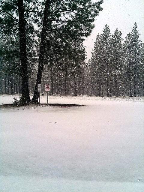 image from www.flickr.com